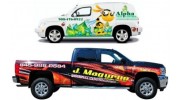 Vehicle Wraps